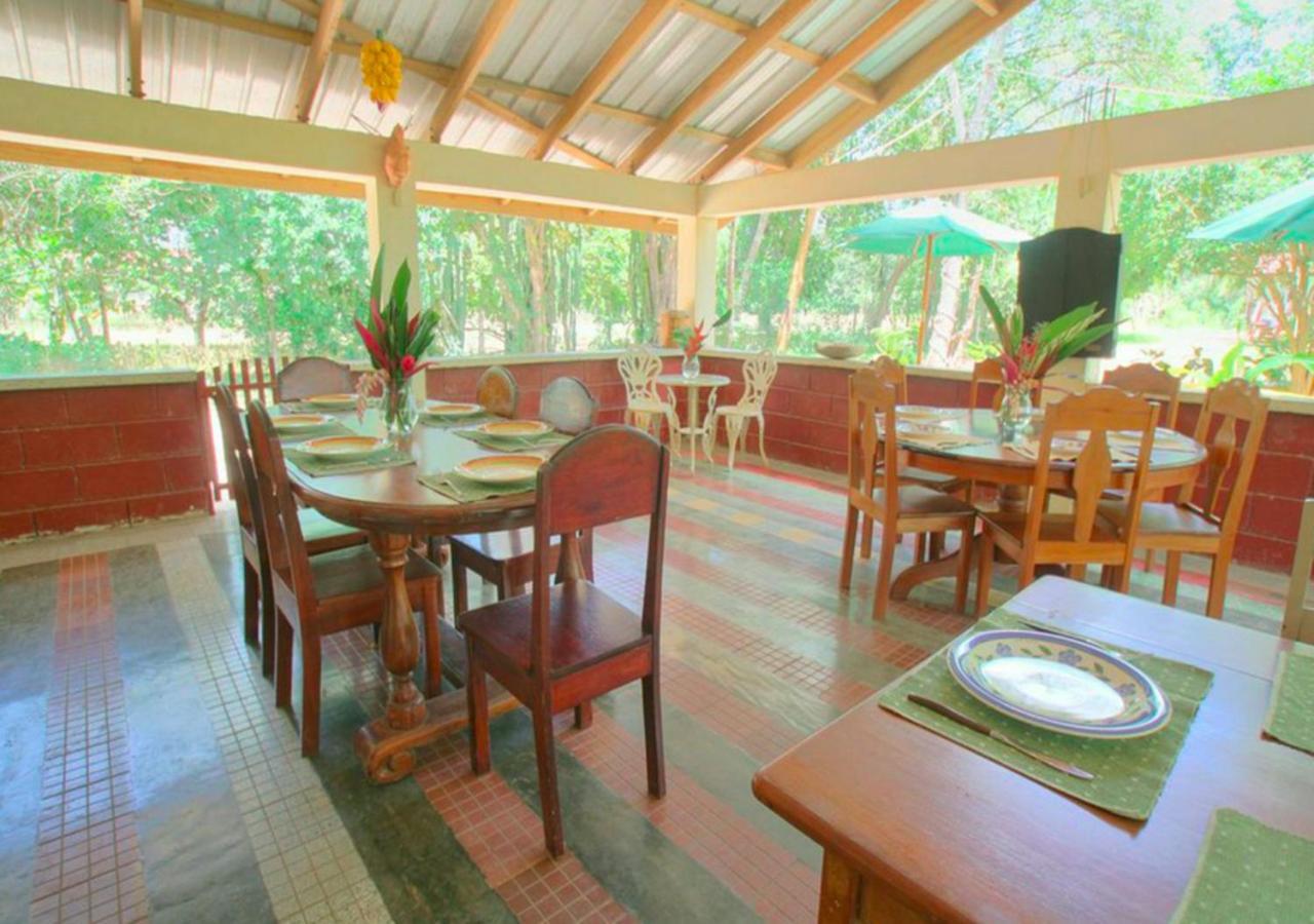 Midas Resorts San Ignacio Εστιατόριο φωτογραφία